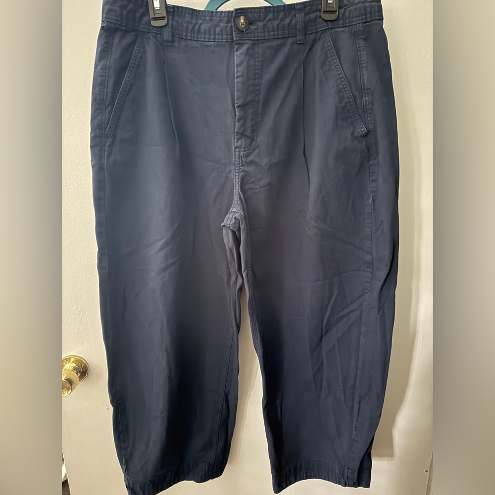 Everlane The Everywhere Pant